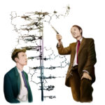 Jim Watson and Francis Crick