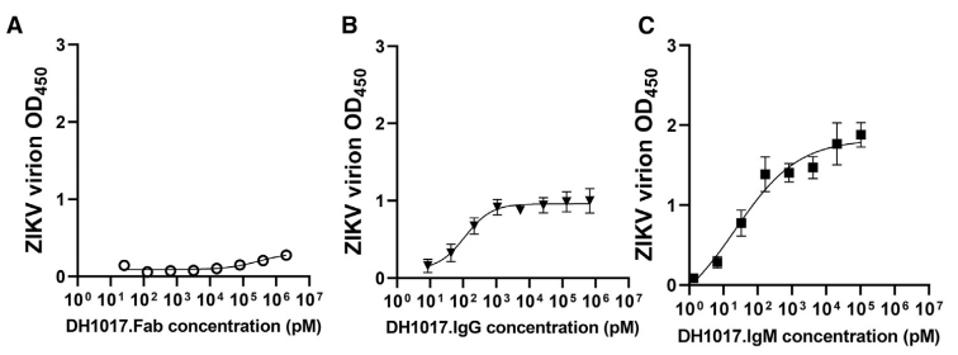 FIGURE 3