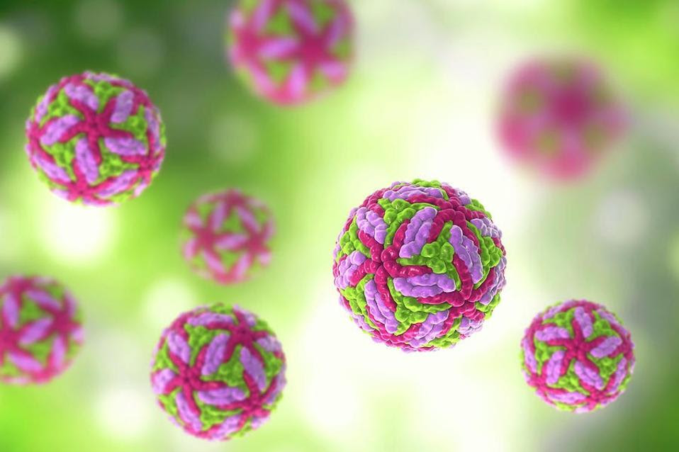 Computer Illustration of Powassan Virus Particles