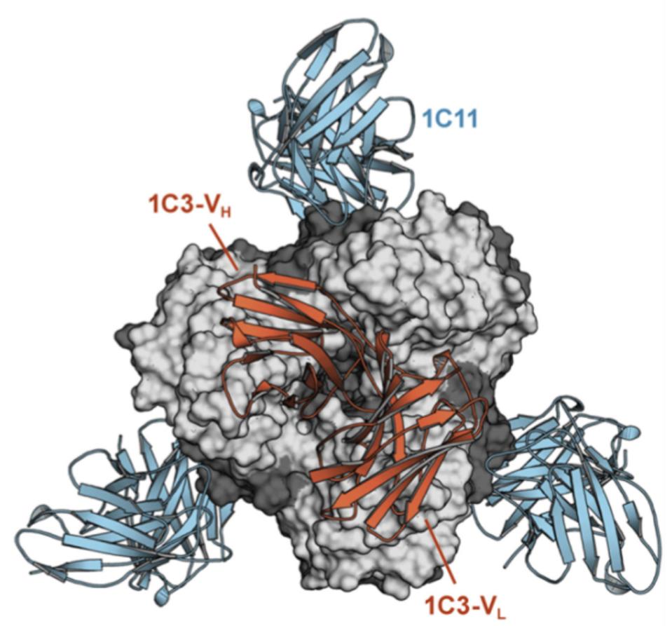 FIGURE 4