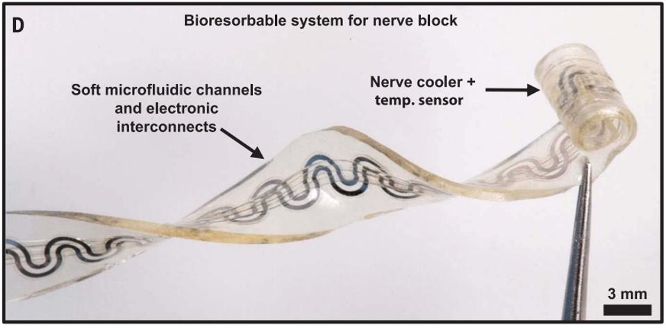 Implant contains microfluidic channels and an electronic system for temperature control.