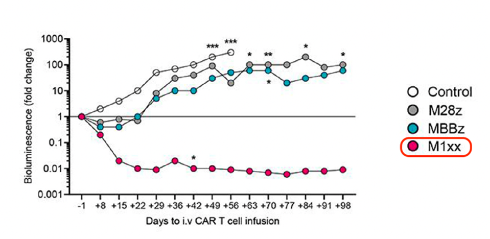 Chart of ovarian tumor burden over time 