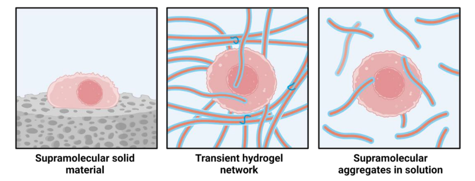 Figure 4: Ureido-pyrimidinone can exist as a solid, a hydrogel, or it can simply float in solution.