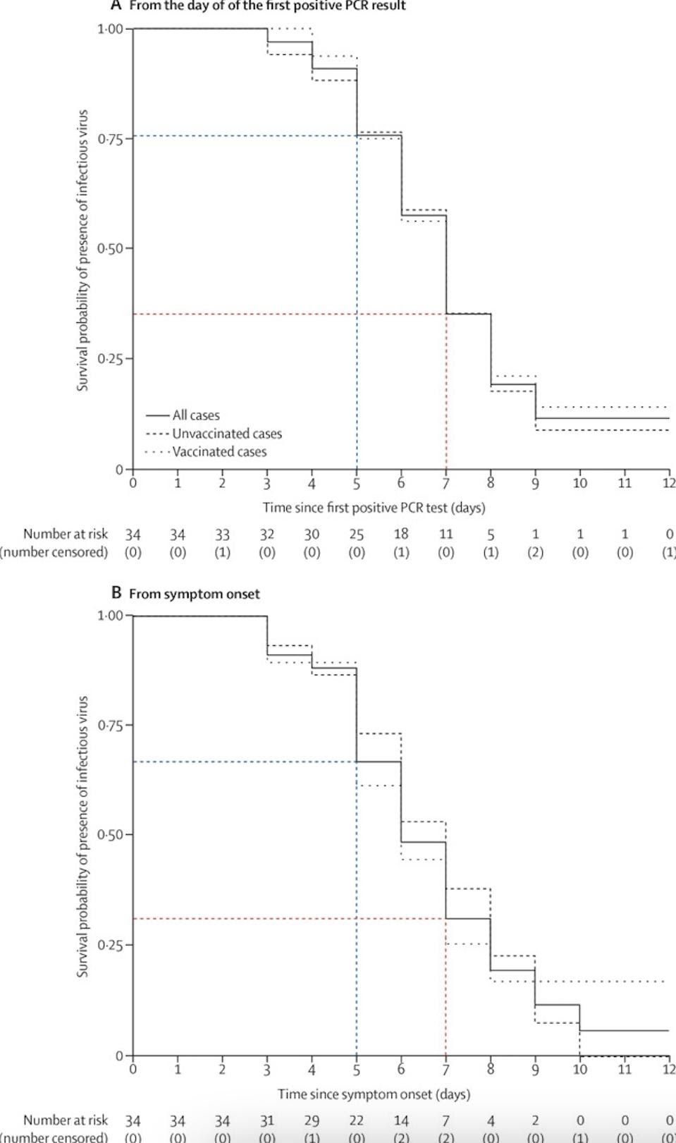 Graph of a decreasing survival probability of infectious SARS-CoV-2 virus in the body