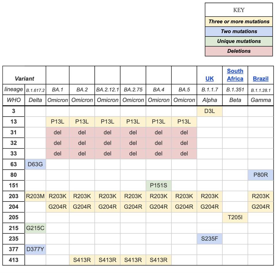 Table of SARS-CoV-2 variants of concern and mutations in the N protein
