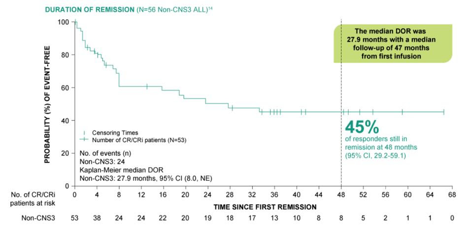 Kaplan-Meier survival rate graph of pediatric patients with acute lymphoblastic leukemia (ALL)