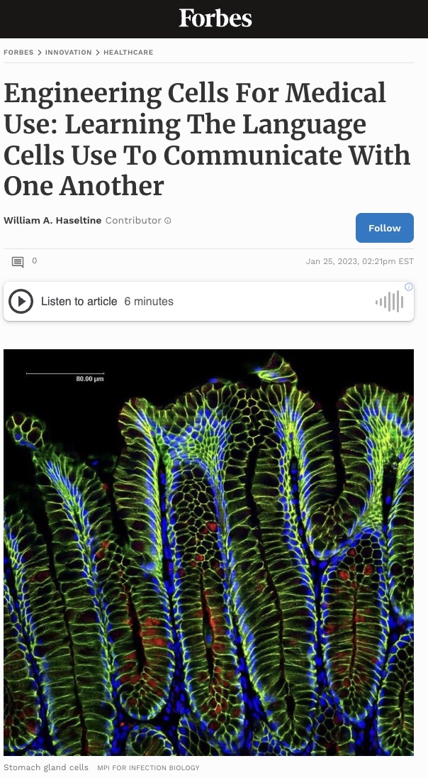 Engineering Cells for Medical Use Photo