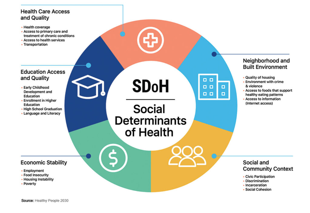Haseltine SDoH graphic