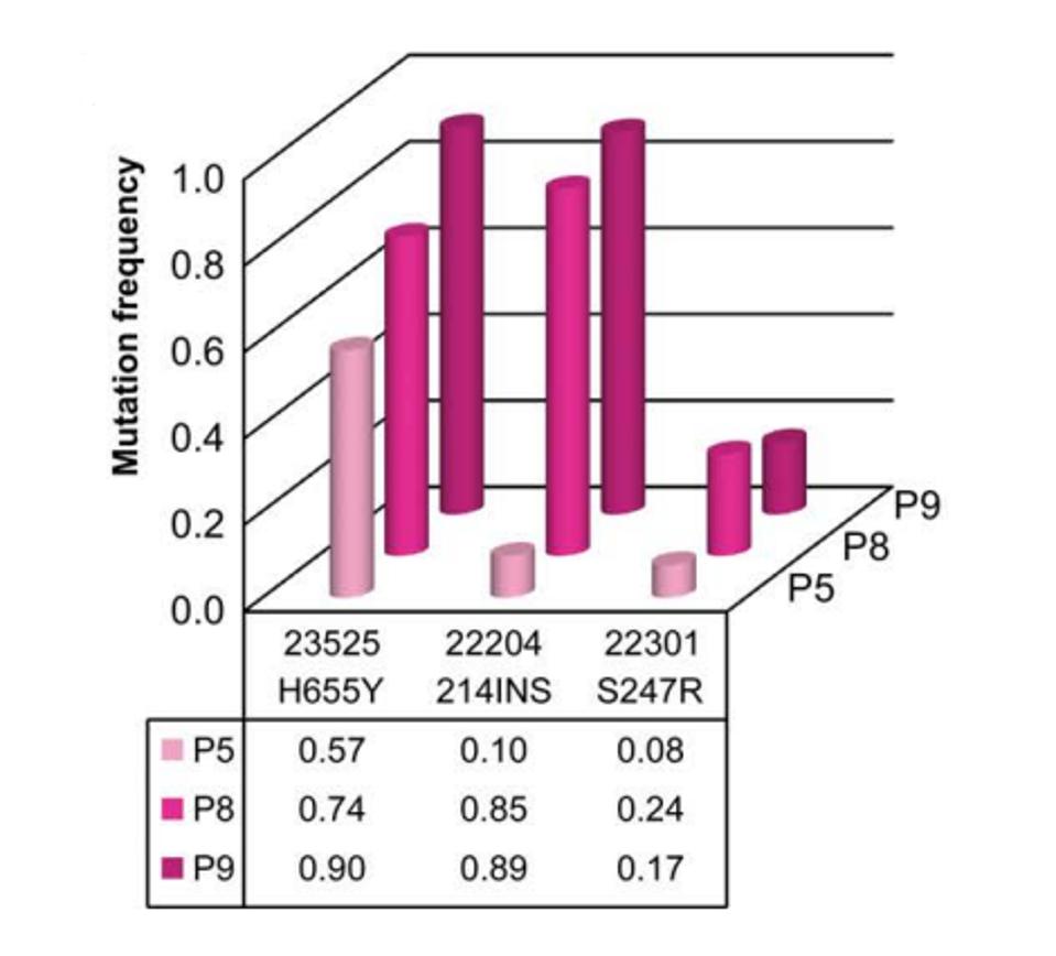 FIGURE 3