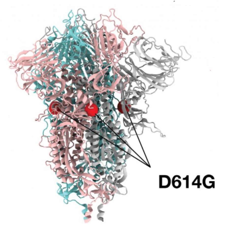 FIGURE 1