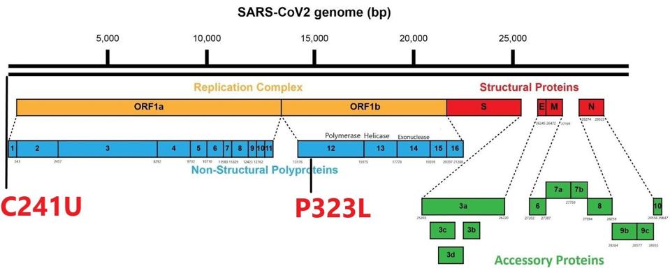 FIGURE 3