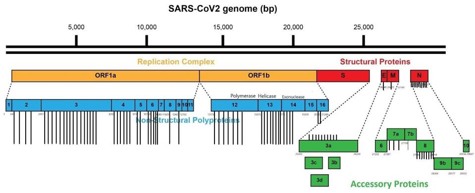 FIGURE 4