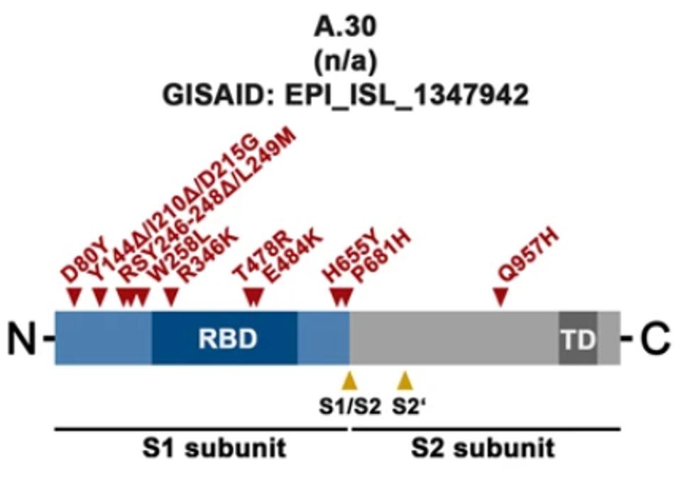 FIGURE 2