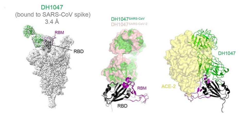 FIGURE 3