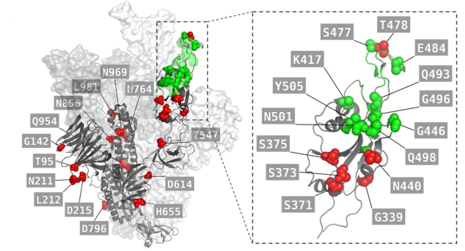 FIGURE 6