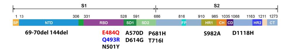 FIGURE 3