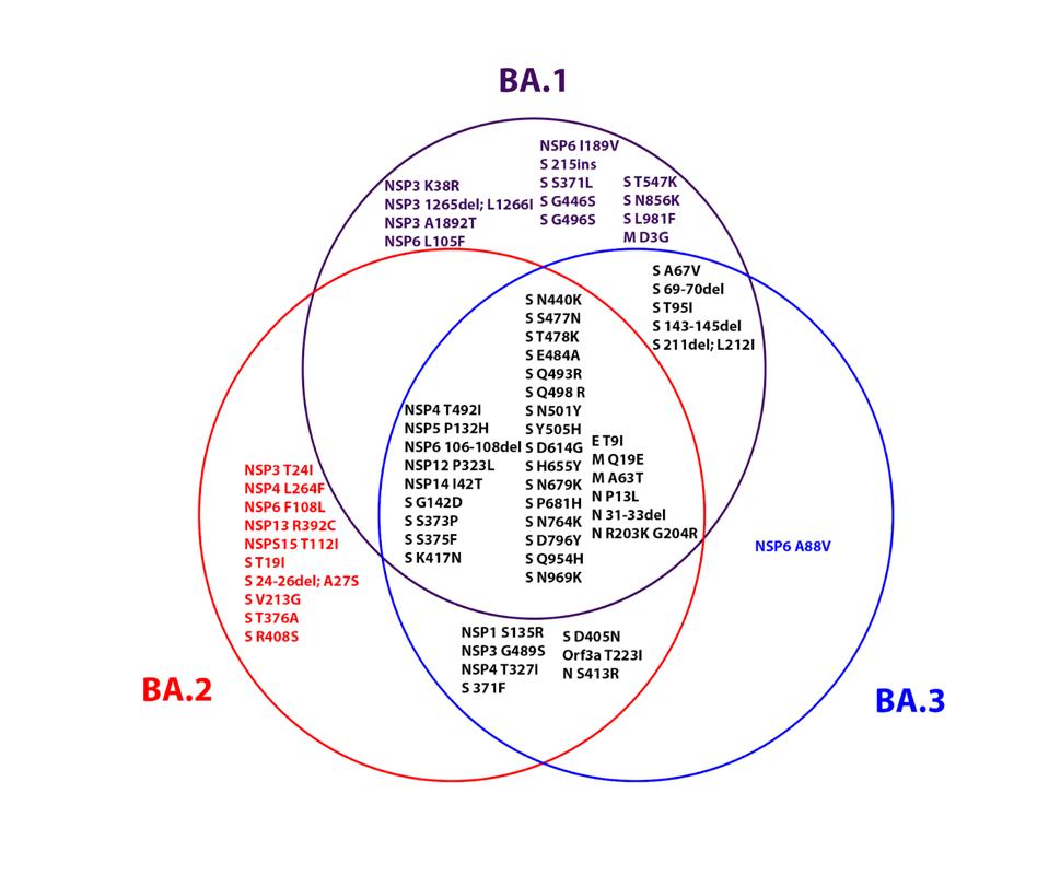 FIGURE 3