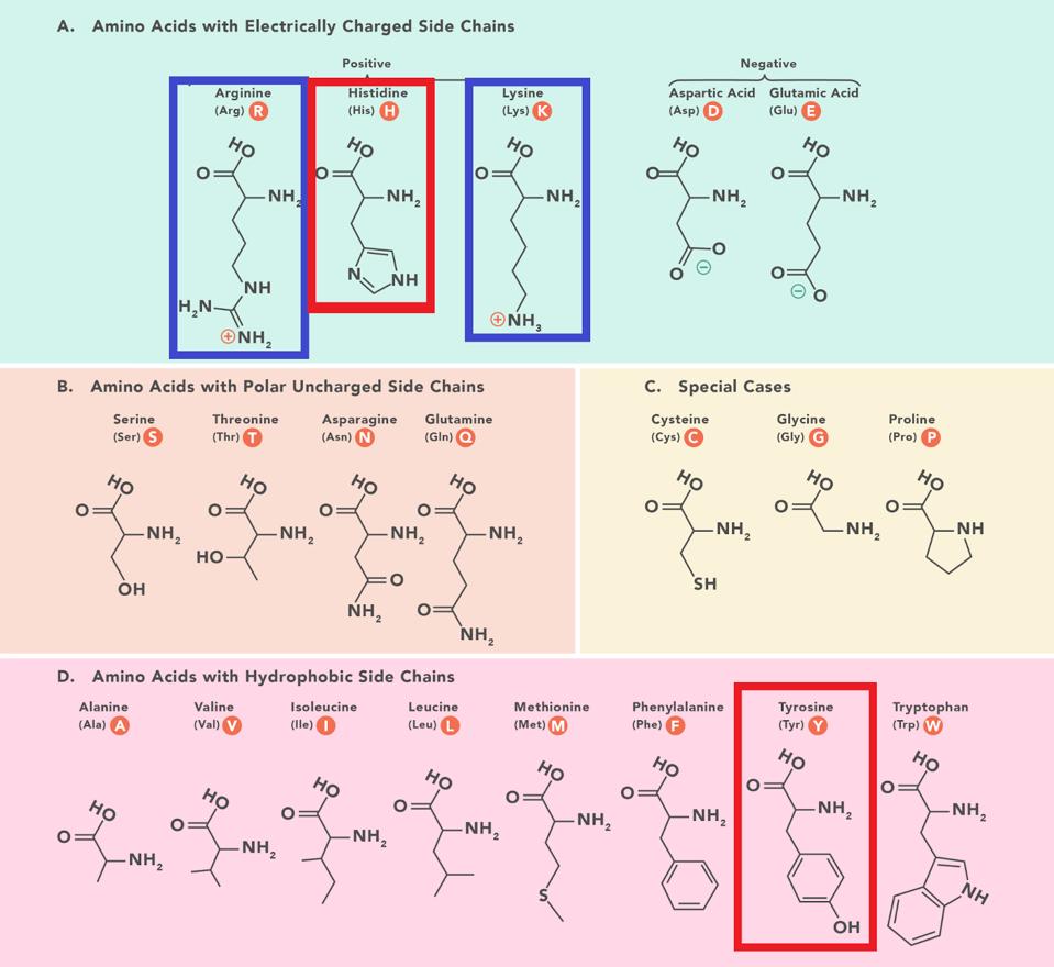 FIGURE 3