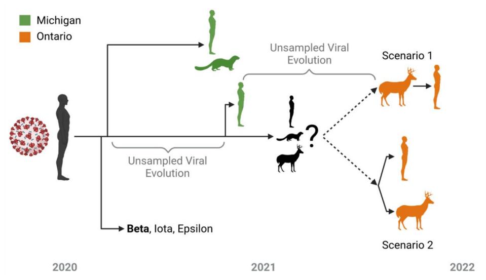 FIGURE 2