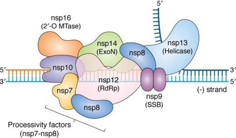 FIGURE 4
