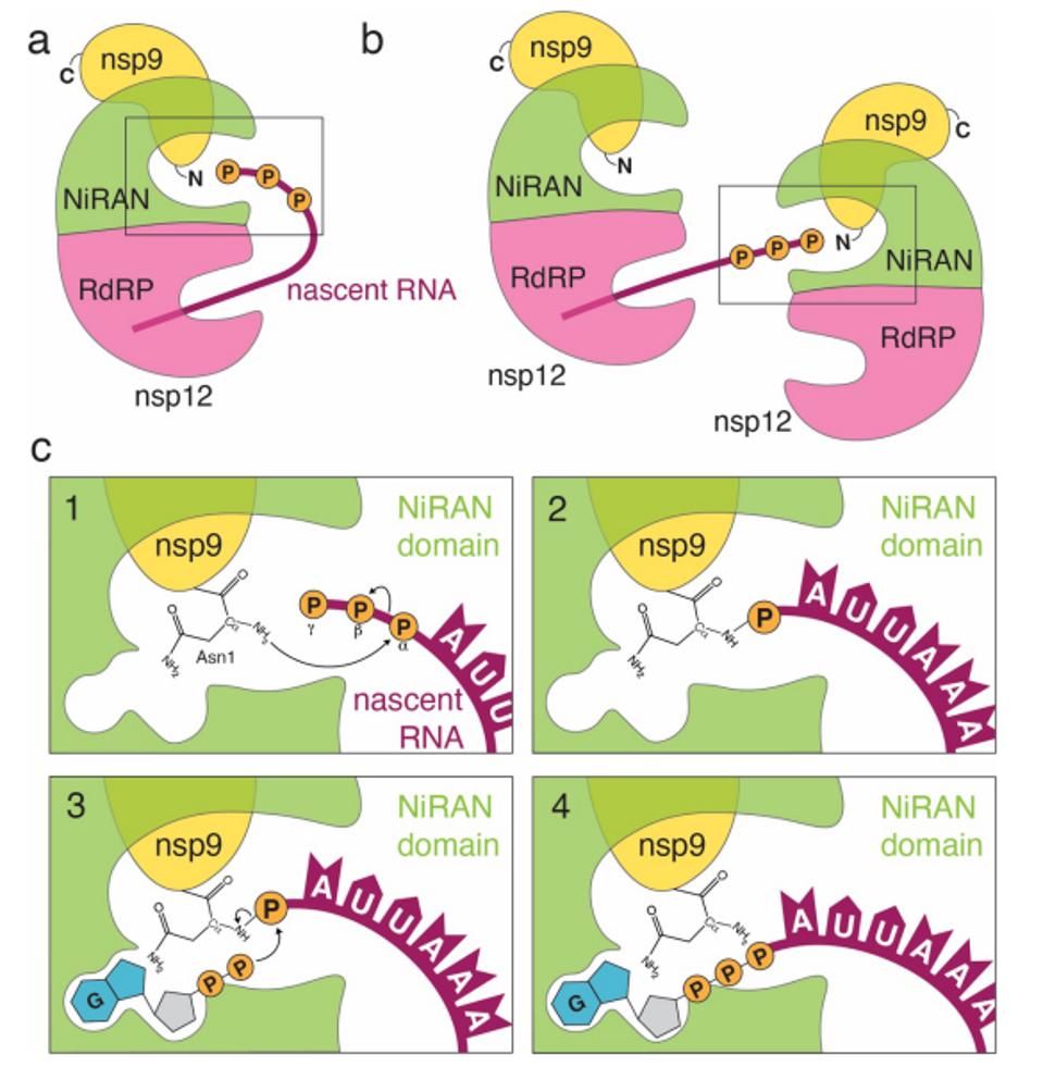 FIGURE 6