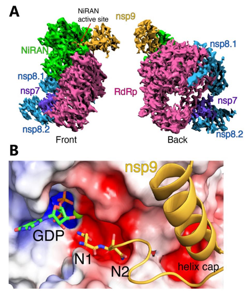 FIGURE 7