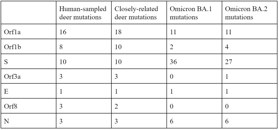 TABLE 1