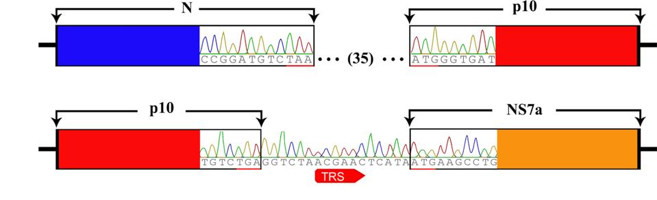 FIGURE 3