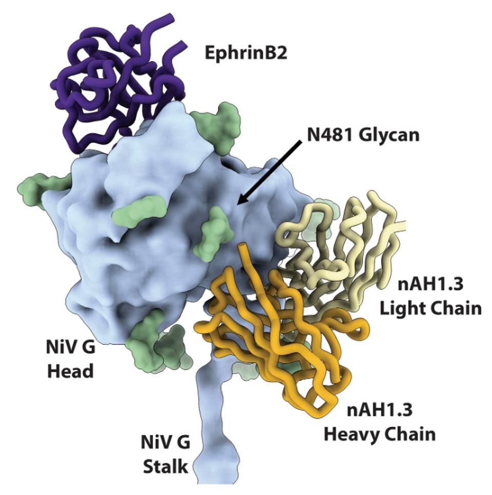 FIGURE 2