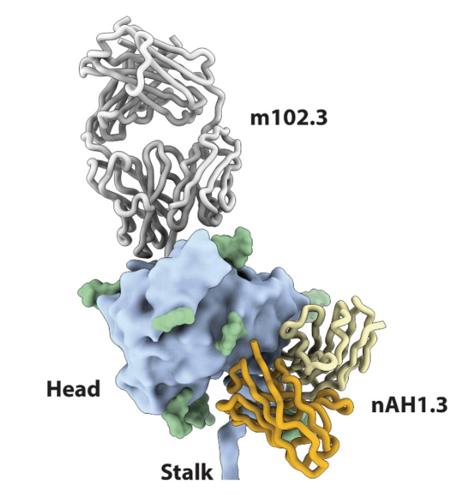 FIGURE 3