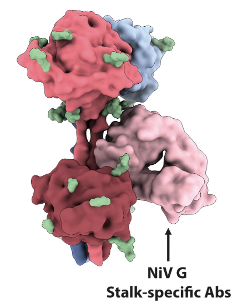 FIGURE 4