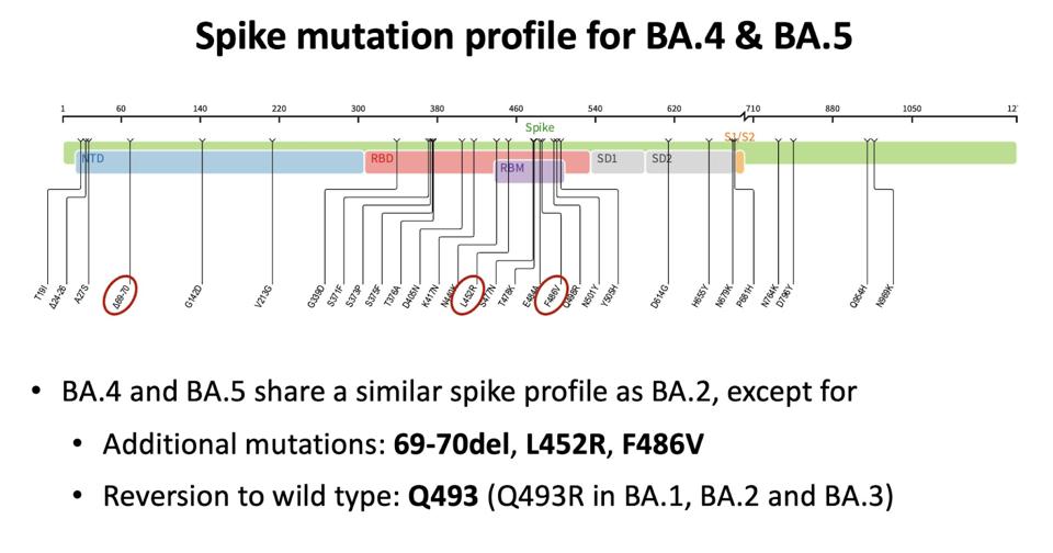 FIGURE 3: