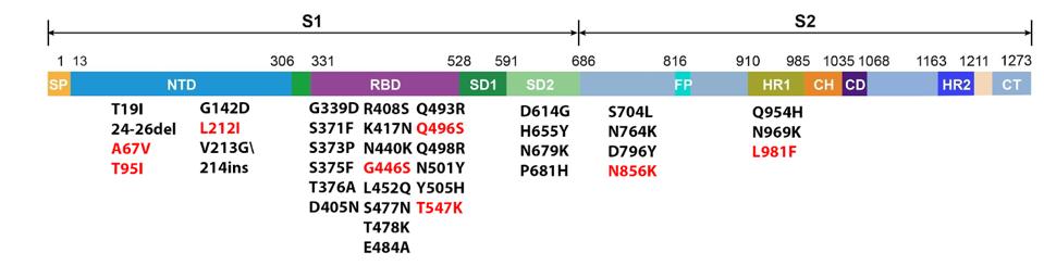 FIGURE 1