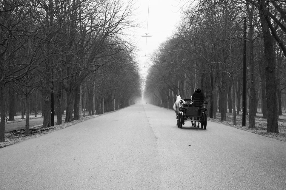 Rear view of a horse carriage on street along bare trees