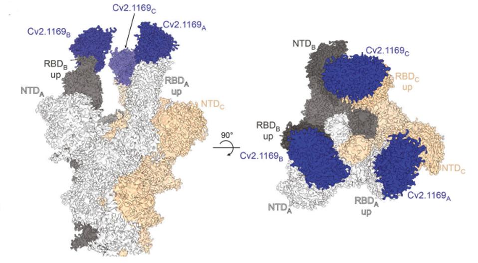 FIGURE 3