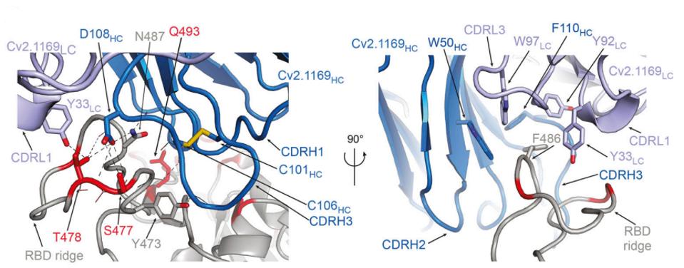 FIGURE 4