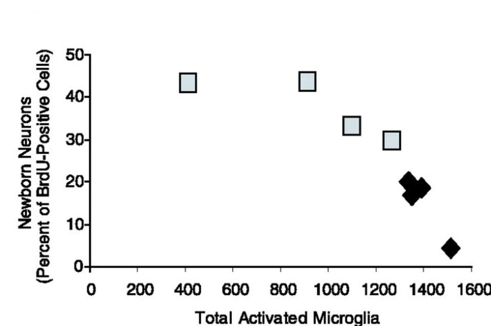 negative correlation between activated microglia and newborn neurons
