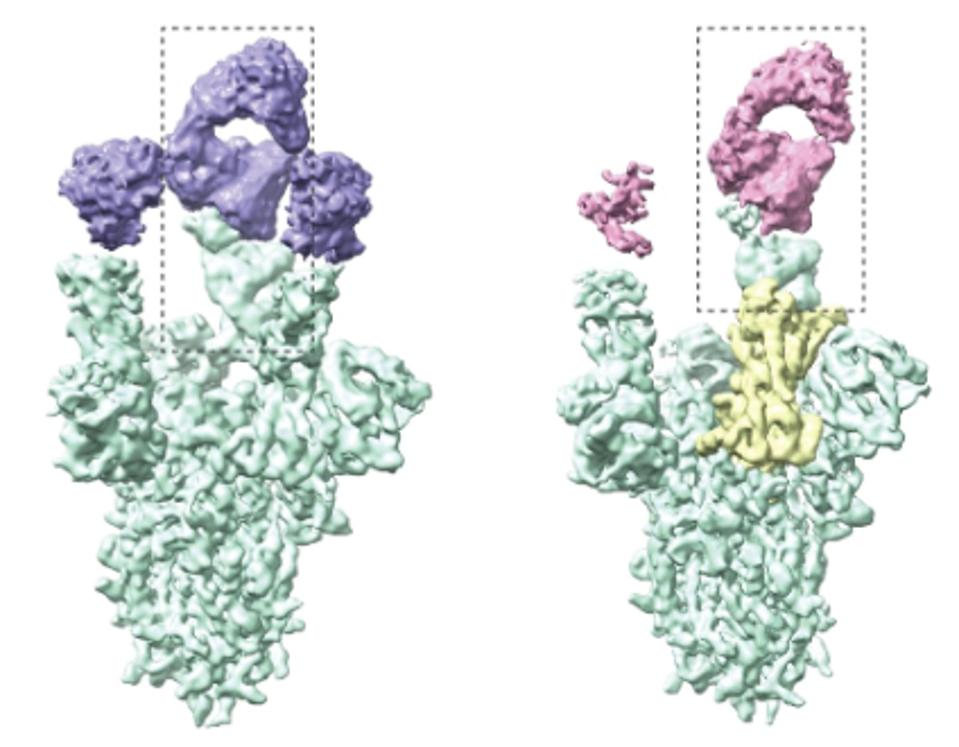 FIGURE 3