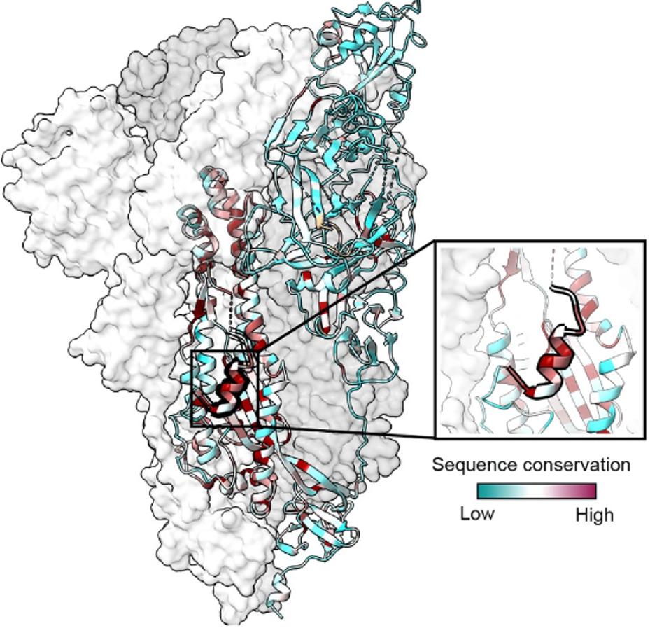 FIGURE 4