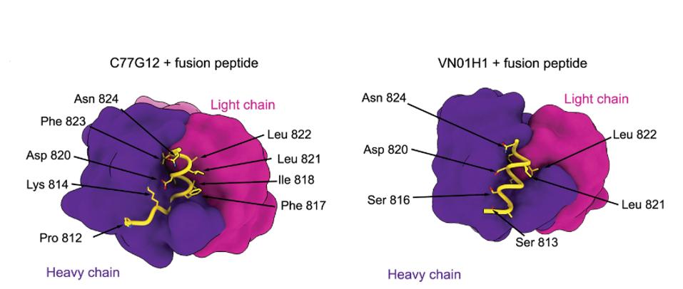 FIGURE 2