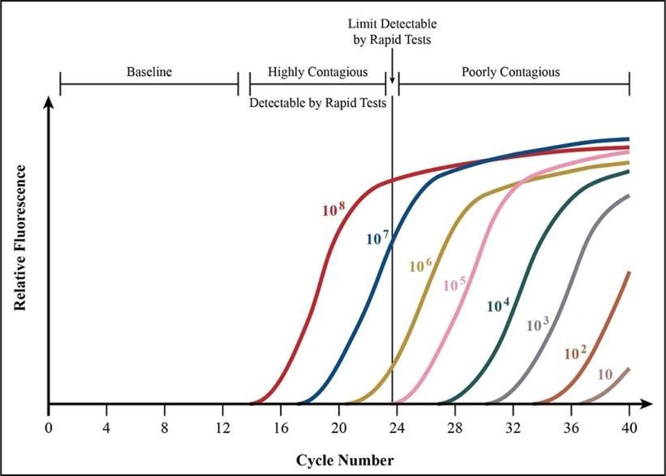FIGURE 3. Data on PCR cycle times offers more evidence that testing earlier in the disease course might intercept contagion at its most infectious.