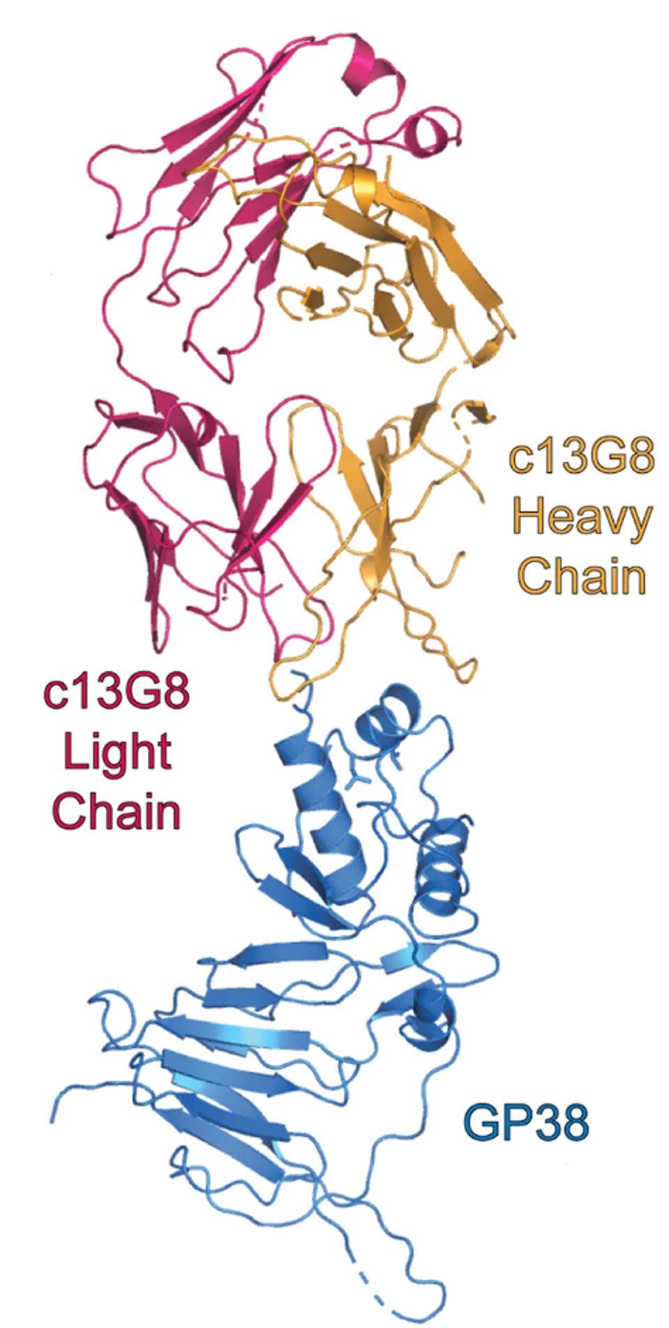 FIGURE 3