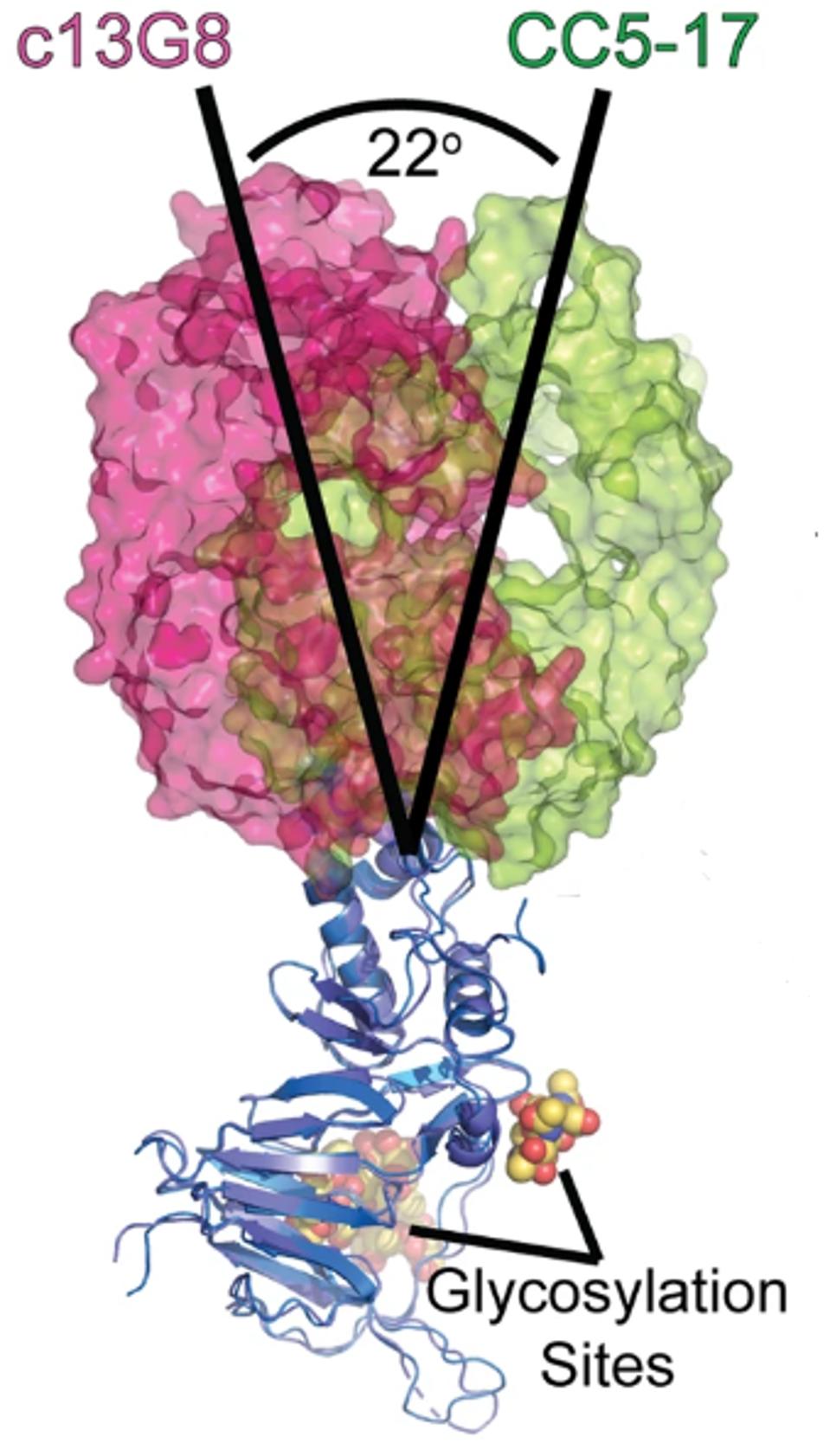 FIGURE 4