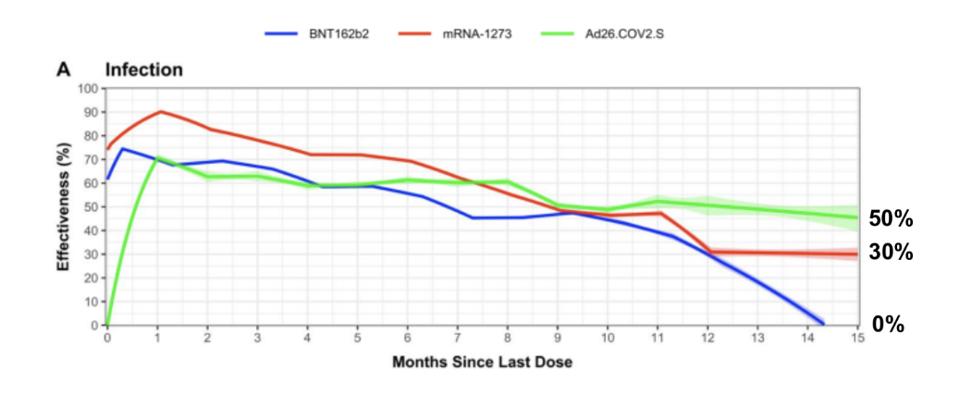 Adenovirus vaccines remain effective for longer than mRNA vaccines (graph)