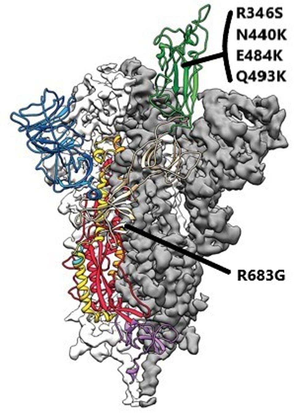 FIGURE 3