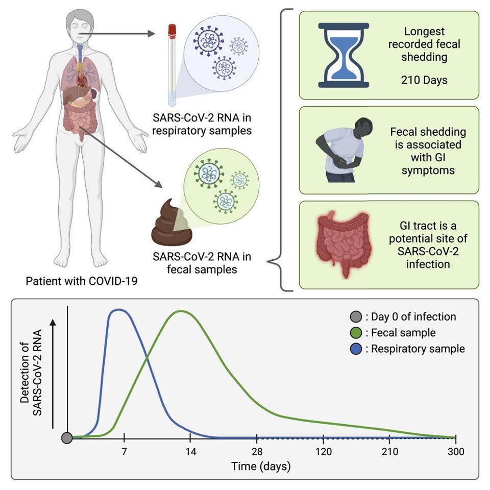 Schematic representation of study 