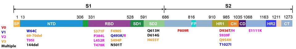mutations to the Spike protein 