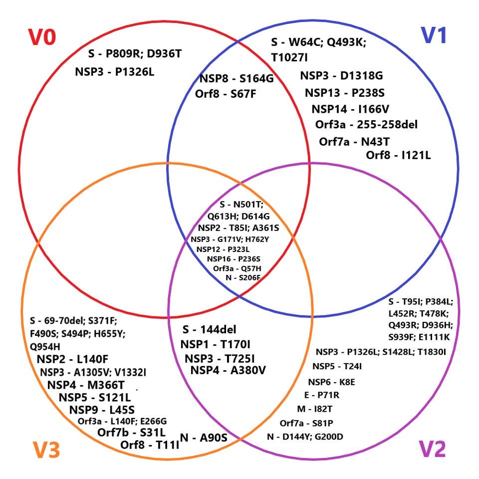 Venn diagram of mutations 