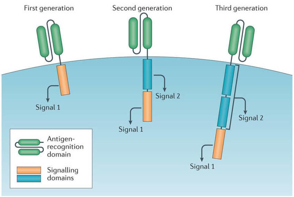 Three generations of CAR T cell design