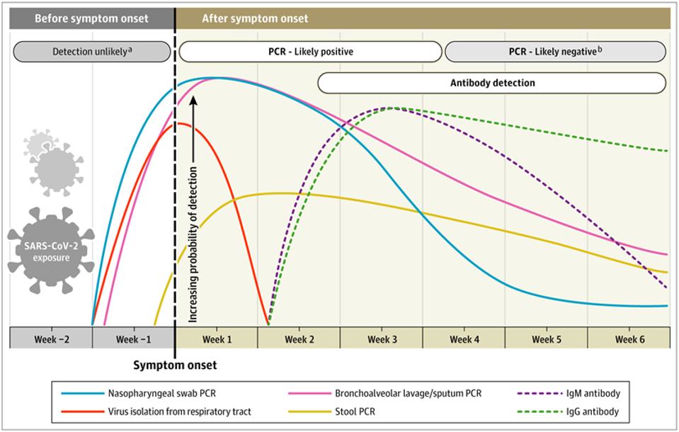 Estimated time intervals and rates of viral detection.
